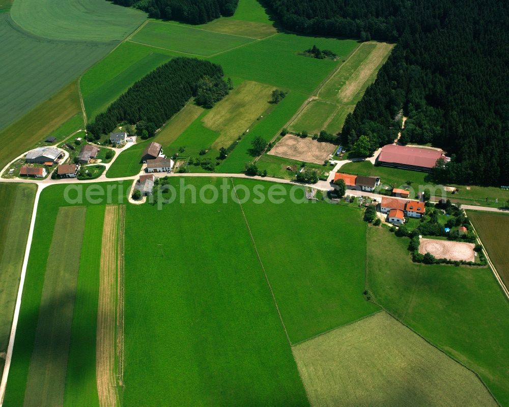 Aerial photograph Lieshöfe - Agricultural land and field boundaries surround the settlement area of the village in Lieshöfe in the state Baden-Wuerttemberg, Germany