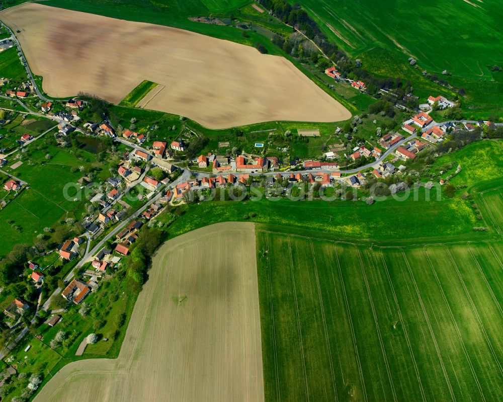 Aerial photograph Lindenkreuz - Agricultural land and field boundaries surround the settlement area of the village in Lindenkreuz in the state Thuringia, Germany