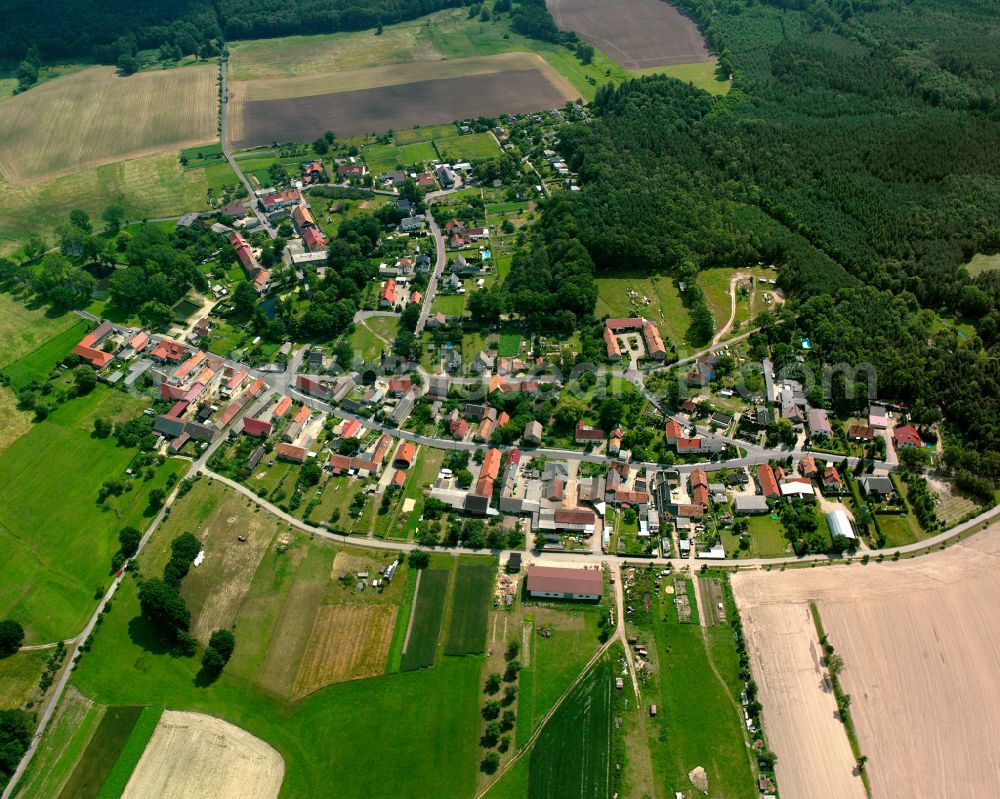 Aerial image Linz - Agricultural land and field boundaries surround the settlement area of the village in Linz in the state Saxony, Germany