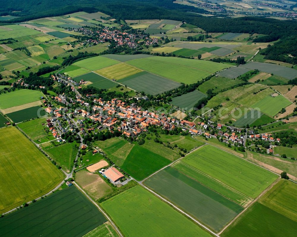 Lippoldshausen from the bird's eye view: Agricultural land and field boundaries surround the settlement area of the village in Lippoldshausen in the state Lower Saxony, Germany