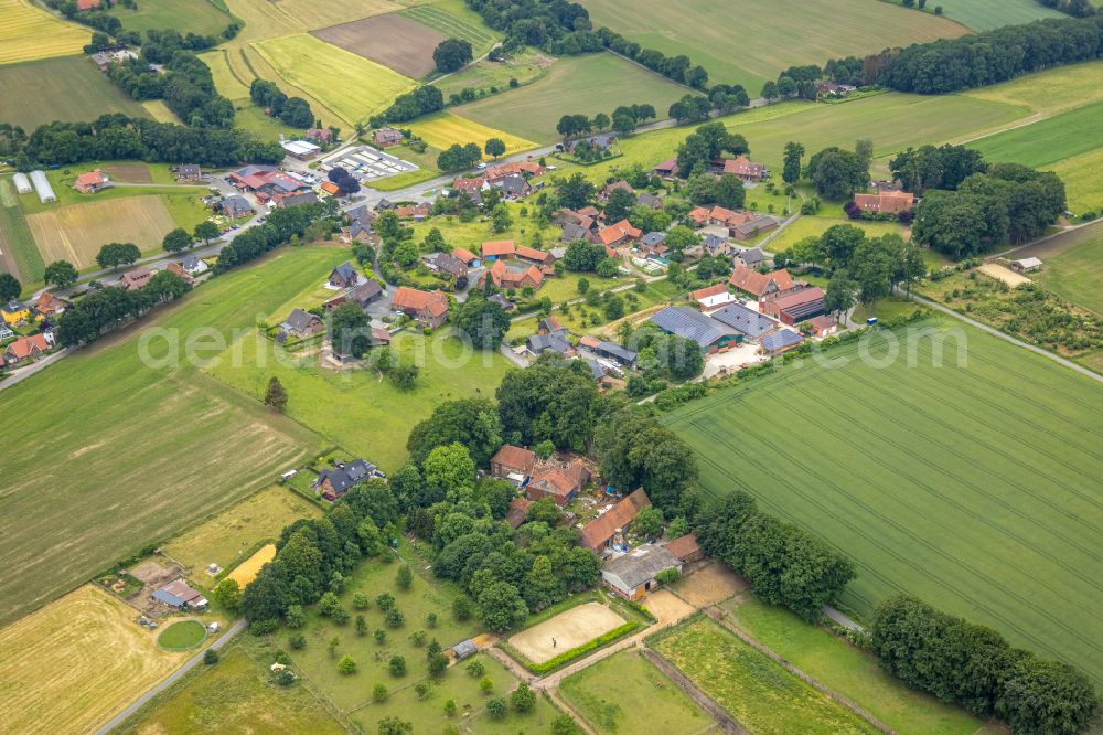 Aerial image Lochtrup - Agricultural land and field boundaries surround the settlement area of the village in Lochtrup in the state North Rhine-Westphalia, Germany