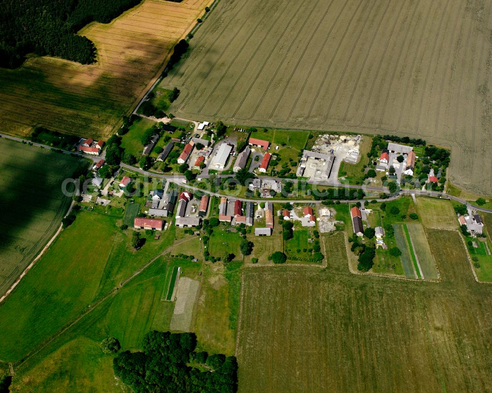 Aerial photograph Lüttichau - Agricultural land and field boundaries surround the settlement area of the village in Lüttichau in the state Saxony, Germany