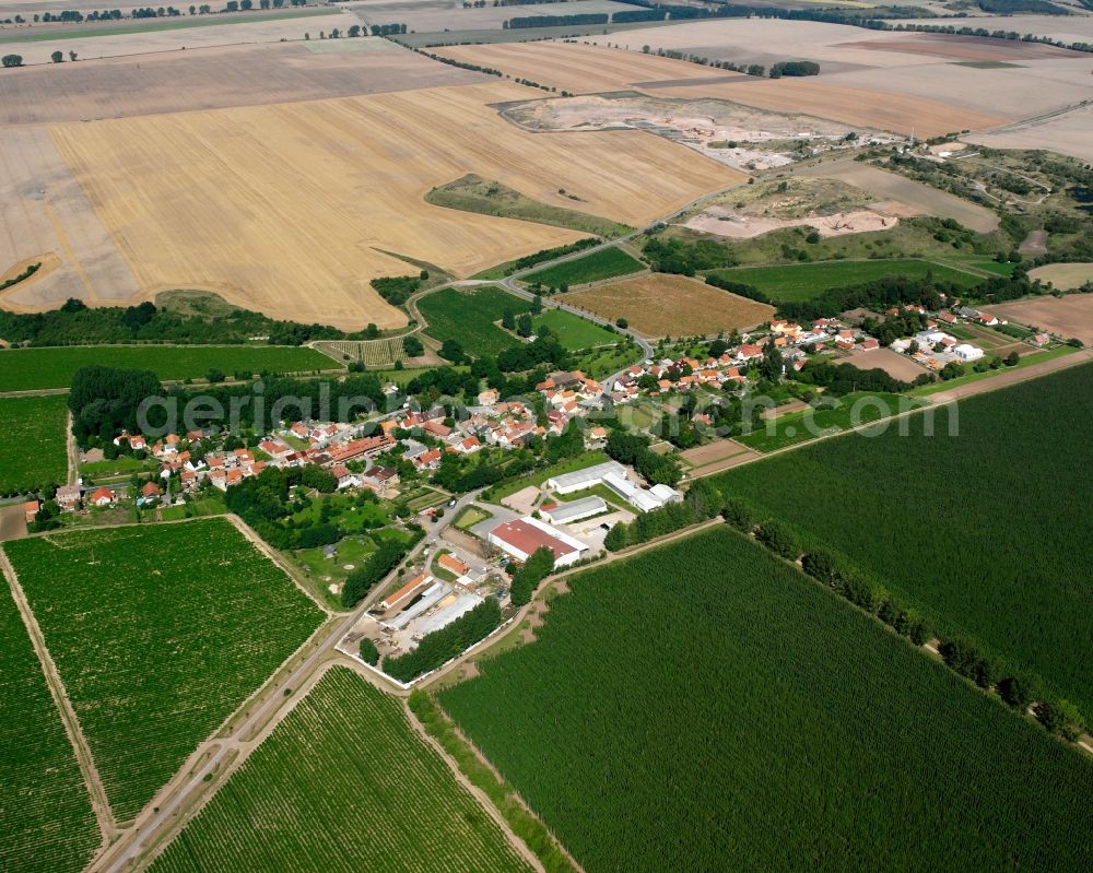 Aerial image Lützensömmern - Agricultural land and field boundaries surround the settlement area of the village in Lützensömmern in the state Thuringia, Germany