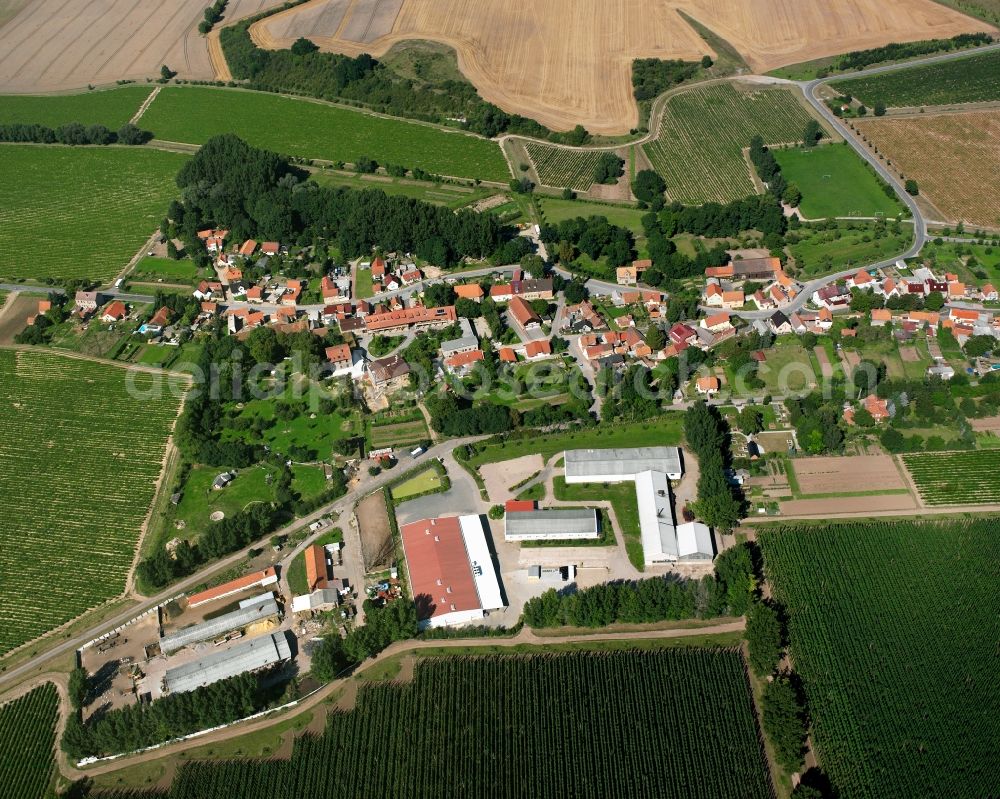 Lützensömmern from above - Agricultural land and field boundaries surround the settlement area of the village in Lützensömmern in the state Thuringia, Germany