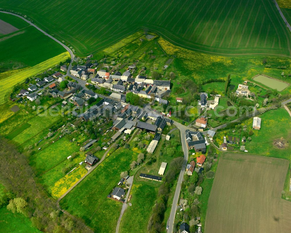 Läwitz from above - Agricultural land and field boundaries surround the settlement area of the village in Läwitz in the state Thuringia, Germany