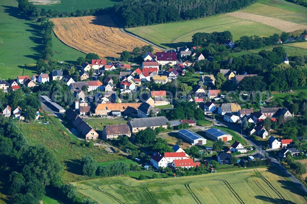 Aerial photograph Mahlis - Agricultural land and field boundaries surround the settlement area of the village in Mahlis in the state Saxony, Germany