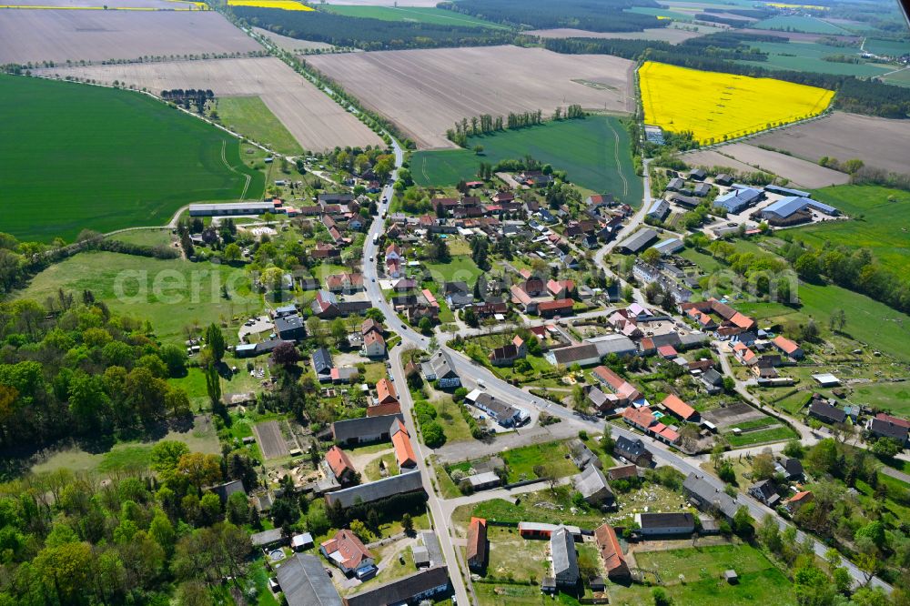 Aerial photograph Mahlsdorf - Agricultural land and field boundaries surround the settlement area of the village in Mahlsdorf in the state Saxony-Anhalt, Germany