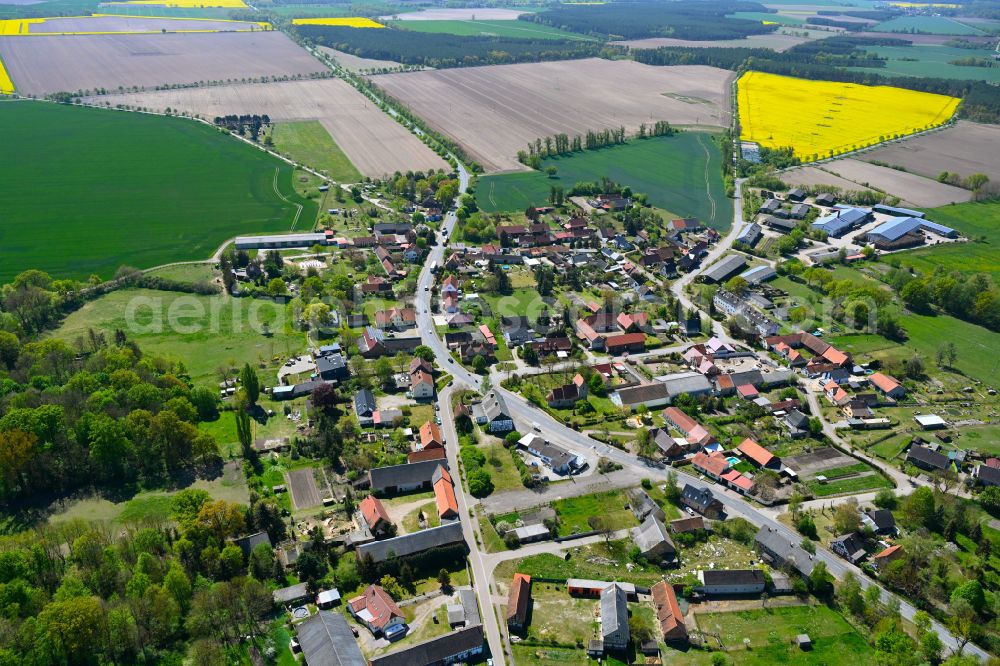 Mahlsdorf from above - Agricultural land and field boundaries surround the settlement area of the village in Mahlsdorf in the state Saxony-Anhalt, Germany