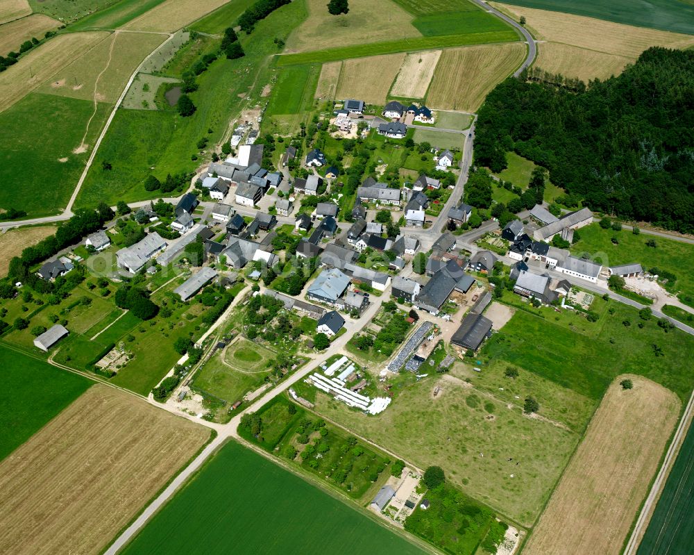 Aerial image Maitzborn - Agricultural land and field boundaries surround the settlement area of the village in Maitzborn in the state Rhineland-Palatinate, Germany