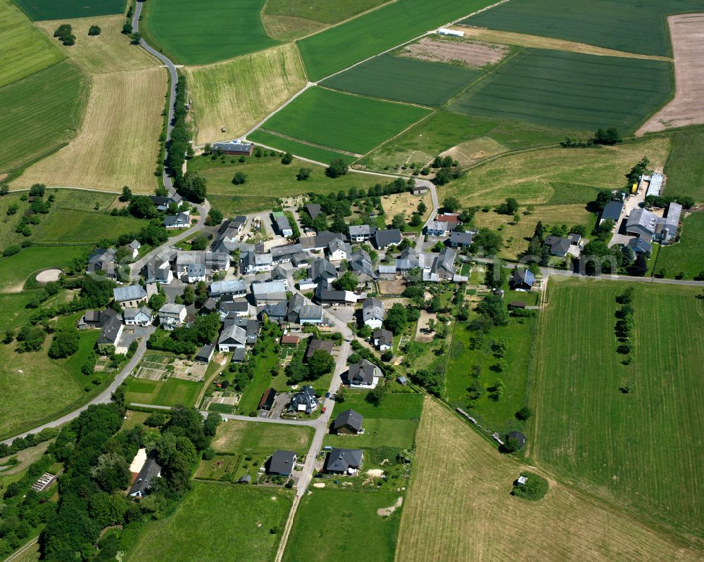 Aerial photograph Mannebach - Agricultural land and field boundaries surround the settlement area of the village in Mannebach in the state Rhineland-Palatinate, Germany