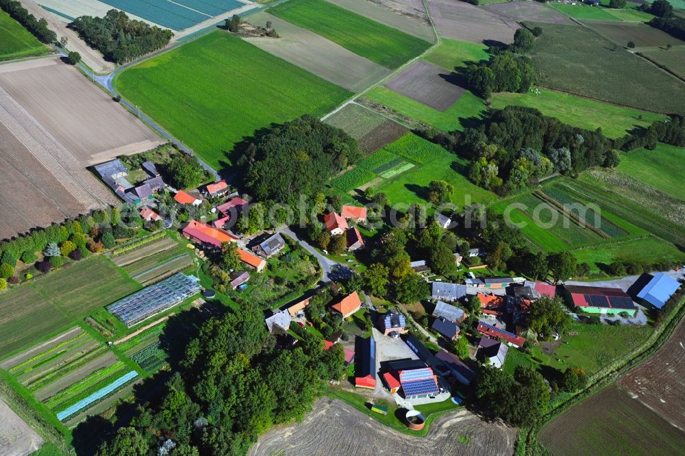 Aerial photograph Marlin - Agricultural land and field boundaries surround the settlement area of the village in Marlin in the state Lower Saxony, Germany