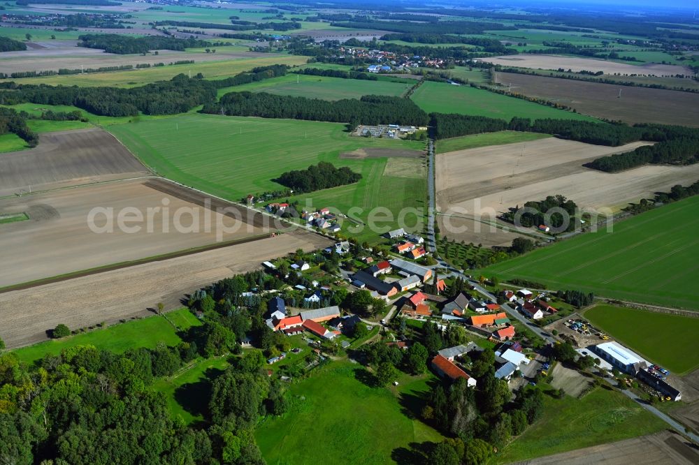 Aerial photograph Maxdorf - Agricultural land and field boundaries surround the settlement area of the village in Maxdorf in the state Saxony-Anhalt, Germany