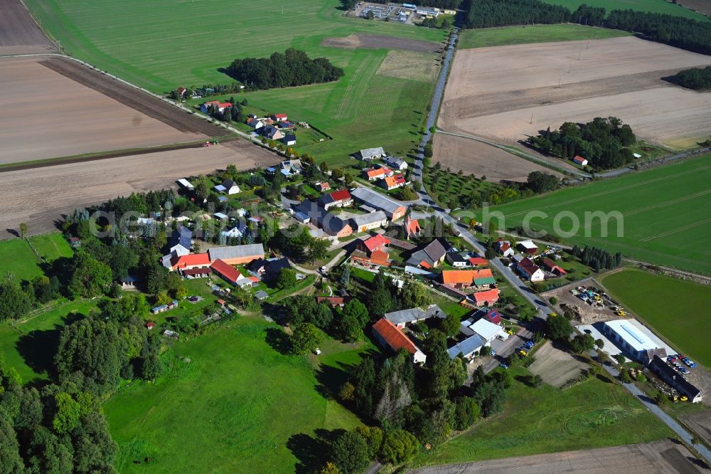 Maxdorf from above - Agricultural land and field boundaries surround the settlement area of the village in Maxdorf in the state Saxony-Anhalt, Germany