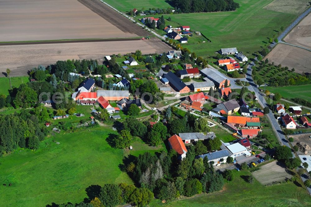 Maxdorf from the bird's eye view: Agricultural land and field boundaries surround the settlement area of the village in Maxdorf in the state Saxony-Anhalt, Germany