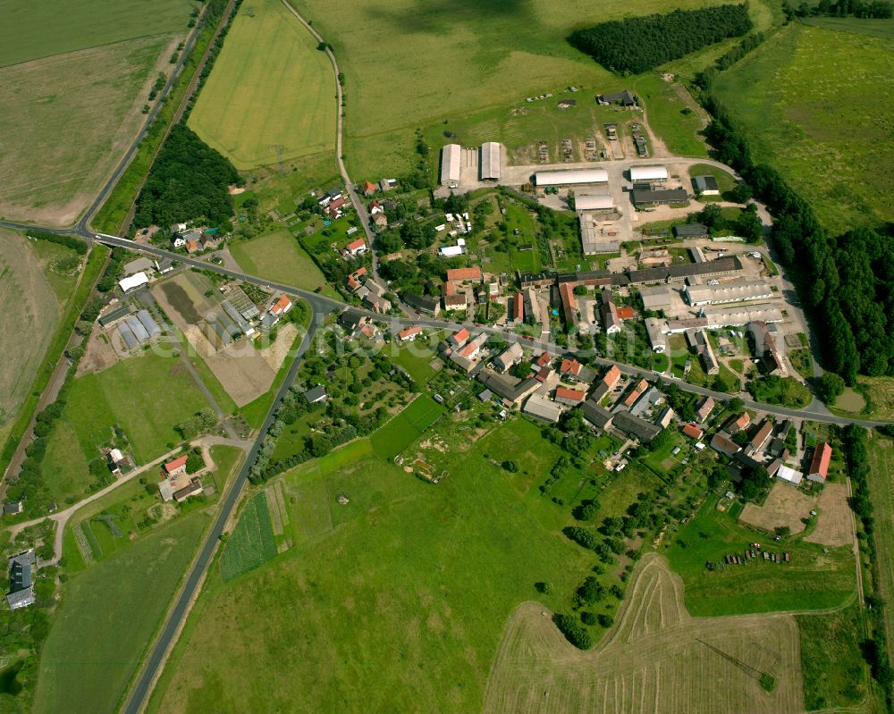 Medessen from the bird's eye view: Agricultural land and field boundaries surround the settlement area of the village in Medessen in the state Saxony, Germany