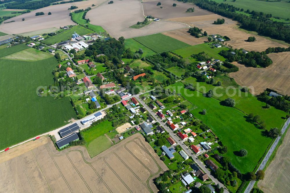 Medrow from the bird's eye view: Agricultural land and field boundaries surround the settlement area of the village on street Lindenallee in Medrow in the state Mecklenburg - Western Pomerania, Germany