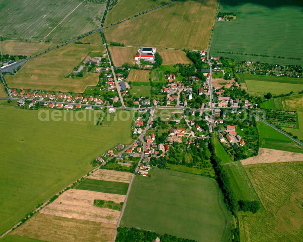 Aerial image Mehltheuer - Agricultural land and field boundaries surround the settlement area of the village in Mehltheuer in the state Saxony, Germany