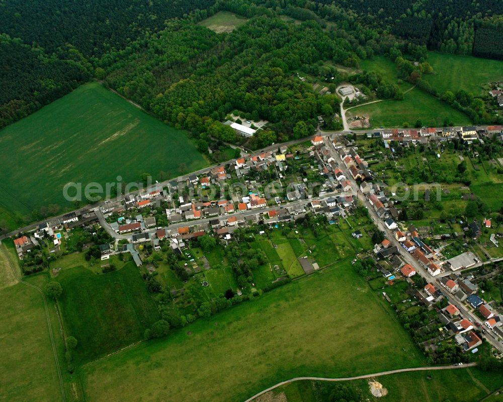 Meinsdorf from the bird's eye view: Agricultural land and field boundaries surround the settlement area of the village in Meinsdorf in the state Saxony-Anhalt, Germany