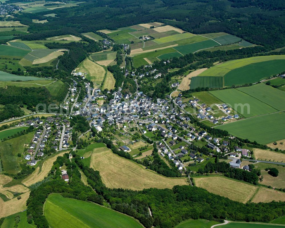 Mengerschied from the bird's eye view: Agricultural land and field boundaries surround the settlement area of the village in Mengerschied in the state Rhineland-Palatinate, Germany