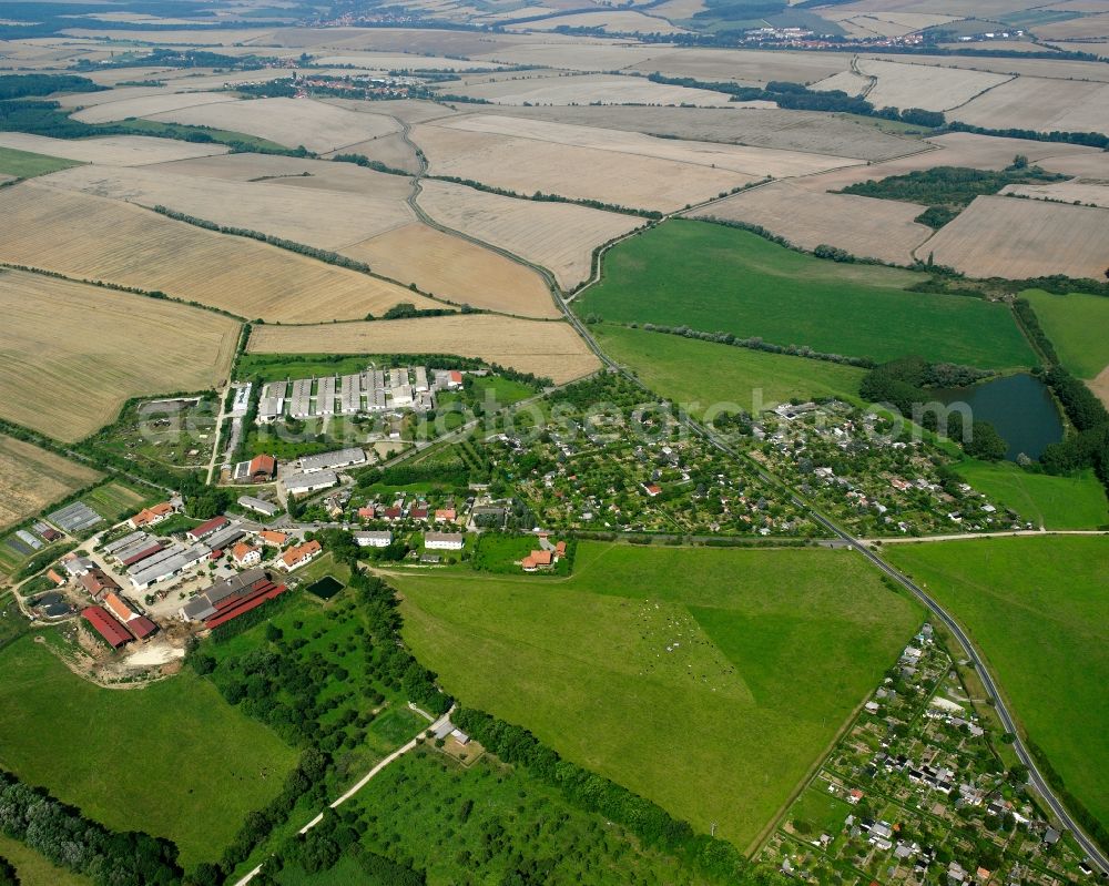 Mühlhausen/Thüringen from the bird's eye view: Agricultural land and field boundaries surround the settlement area of the village in Mühlhausen in the state Thuringia, Germany