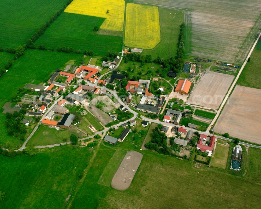 Aerial image Mühlsdorf - Agricultural land and field boundaries surround the settlement area of the village in Mühlsdorf in the state Saxony-Anhalt, Germany