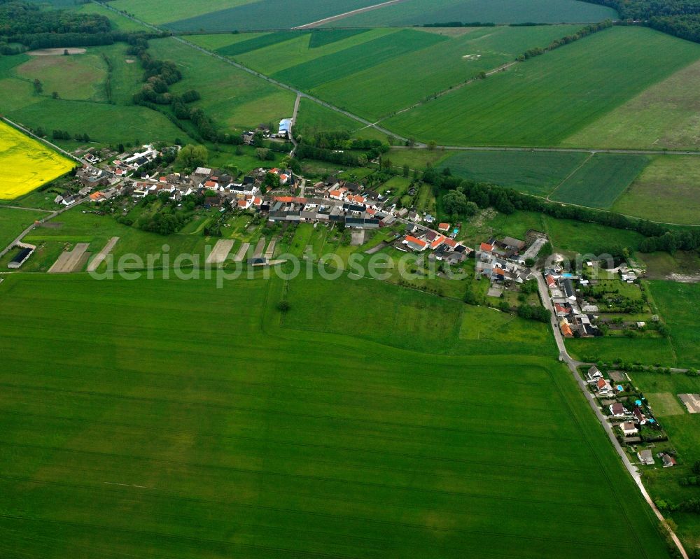 Mühlstedt from above - Agricultural land and field boundaries surround the settlement area of the village in Mühlstedt in the state Saxony-Anhalt, Germany