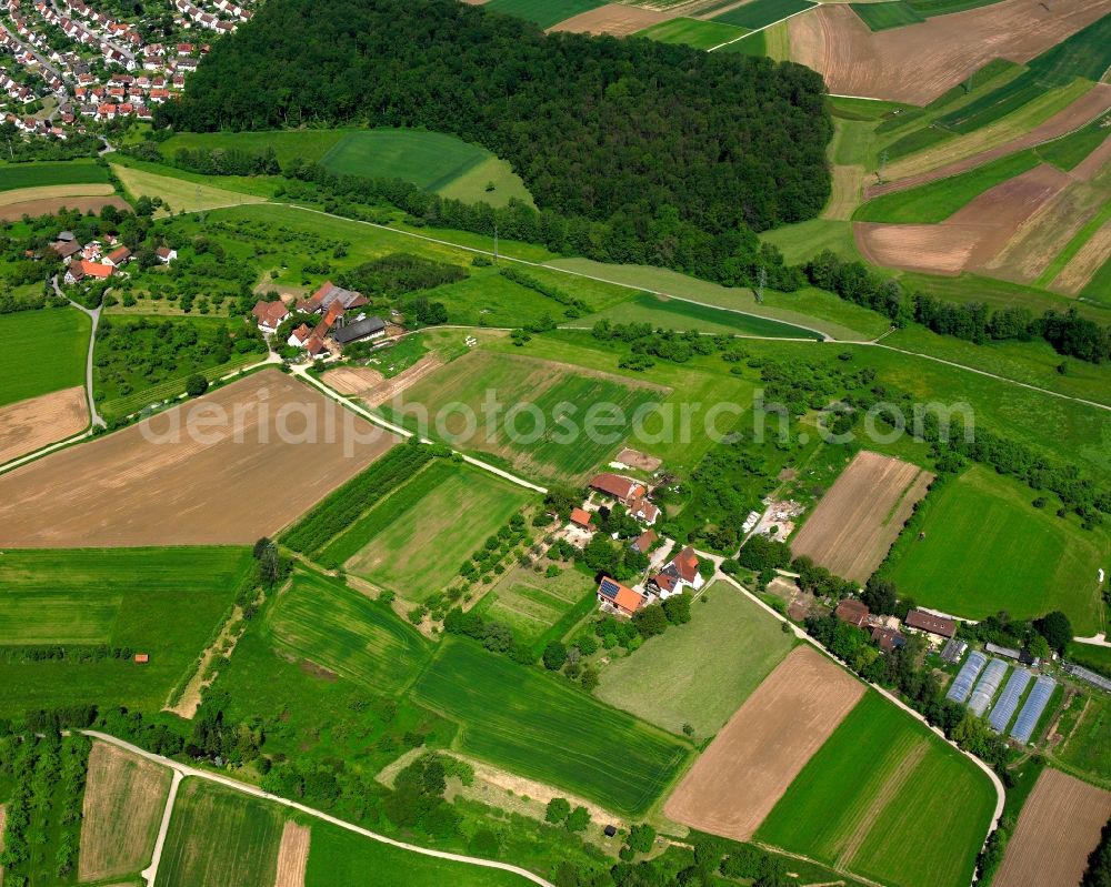 Mitteldresselhof from above - Agricultural land and field boundaries surround the settlement area of the village in Mitteldresselhof in the state Baden-Wuerttemberg, Germany