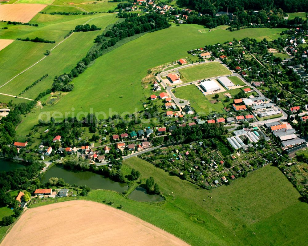 Münchenbernsdorf from above - Agricultural land and field boundaries surround the settlement area of the village in Münchenbernsdorf in the state Thuringia, Germany