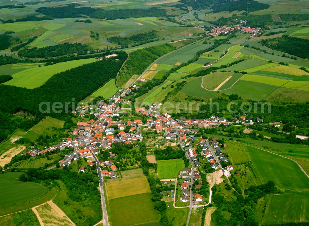 Münsterappel from the bird's eye view: Agricultural land and field boundaries surround the settlement area of the village in Münsterappel in the state Rhineland-Palatinate, Germany