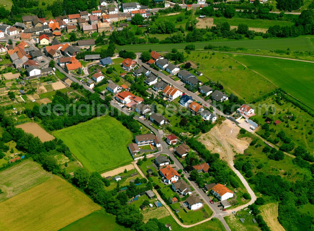 Aerial image Münsterappel - Agricultural land and field boundaries surround the settlement area of the village in Münsterappel in the state Rhineland-Palatinate, Germany