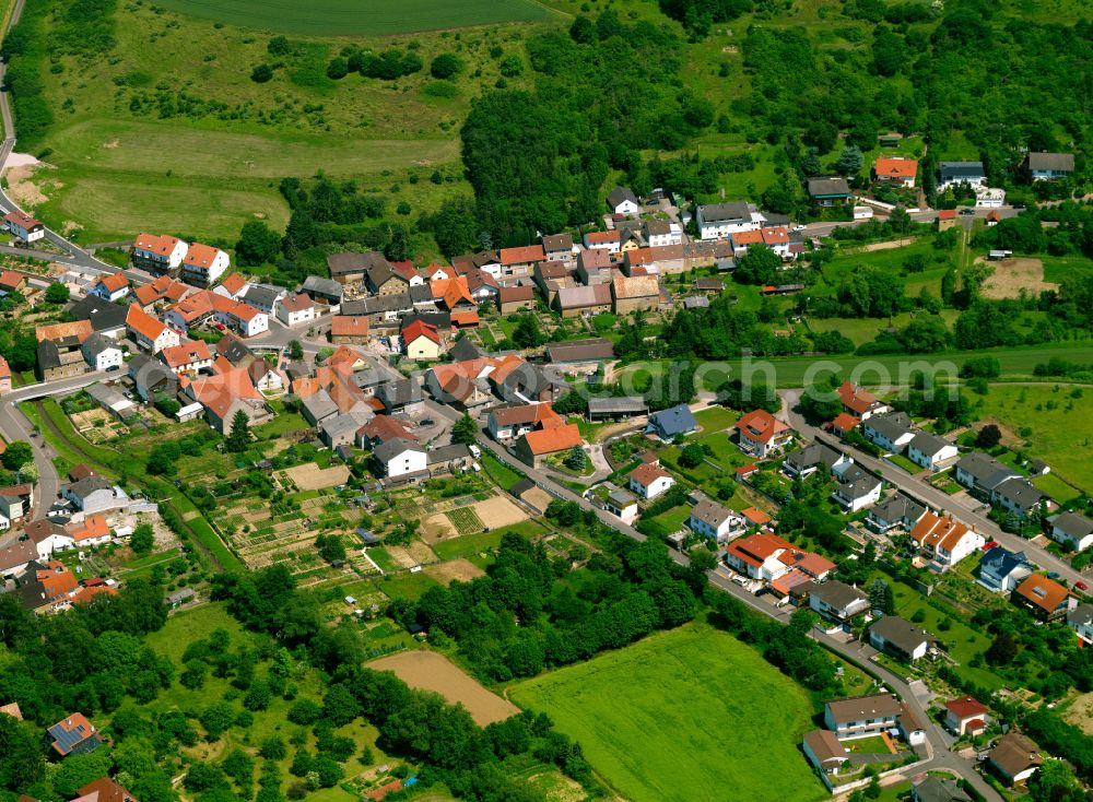 Aerial photograph Münsterappel - Agricultural land and field boundaries surround the settlement area of the village in Münsterappel in the state Rhineland-Palatinate, Germany