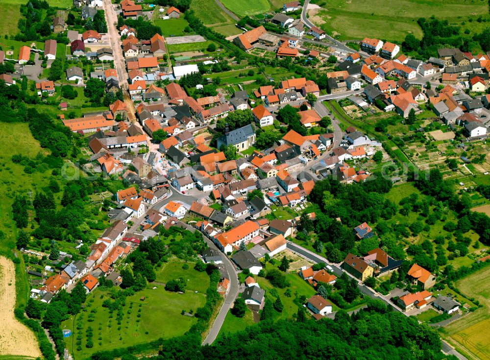 Münsterappel from above - Agricultural land and field boundaries surround the settlement area of the village in Münsterappel in the state Rhineland-Palatinate, Germany