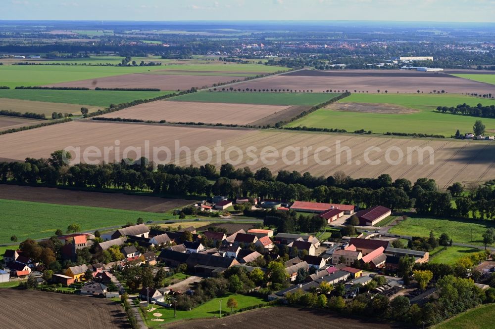 Moritz from above - Agricultural land and field boundaries surround the settlement area of the village in Moritz in the state Saxony-Anhalt, Germany