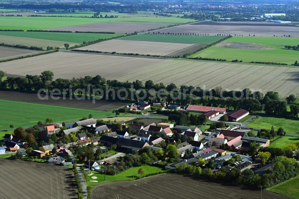 Moritz from the bird's eye view: Agricultural land and field boundaries surround the settlement area of the village in Moritz in the state Saxony-Anhalt, Germany