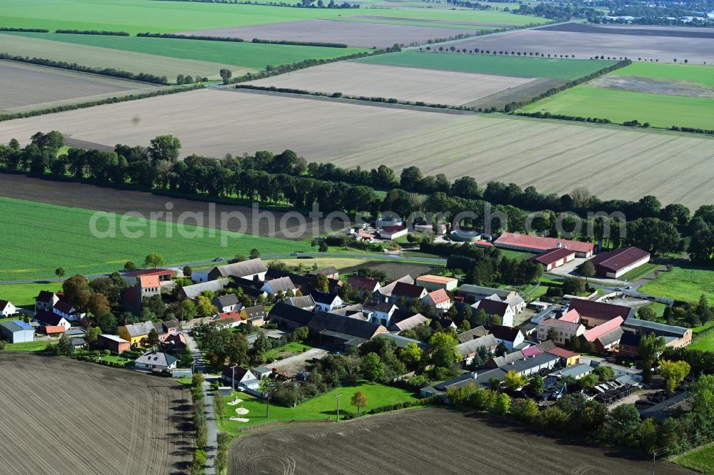 Aerial image Moritz - Agricultural land and field boundaries surround the settlement area of the village in Moritz in the state Saxony-Anhalt, Germany