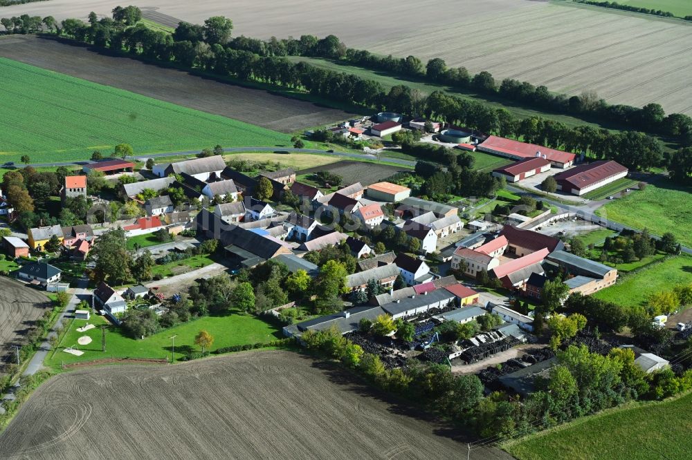 Aerial photograph Moritz - Agricultural land and field boundaries surround the settlement area of the village in Moritz in the state Saxony-Anhalt, Germany