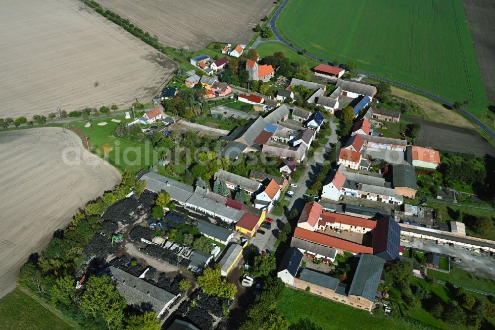 Moritz from above - Agricultural land and field boundaries surround the settlement area of the village in Moritz in the state Saxony-Anhalt, Germany