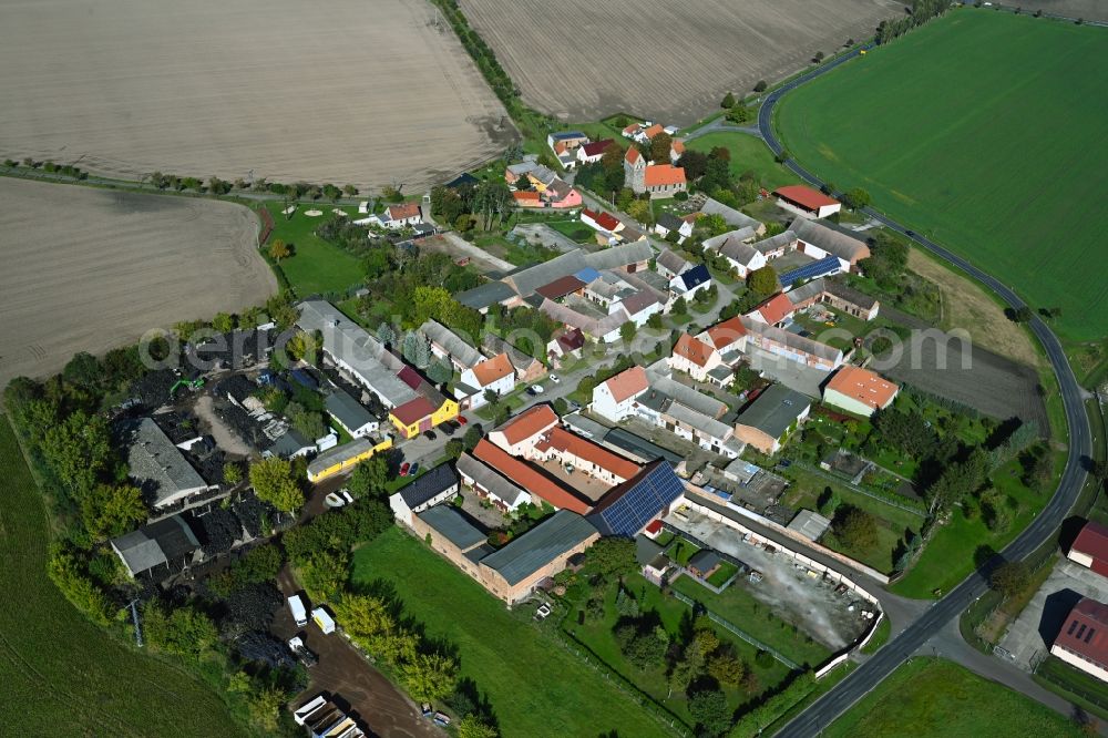 Aerial image Moritz - Agricultural land and field boundaries surround the settlement area of the village in Moritz in the state Saxony-Anhalt, Germany