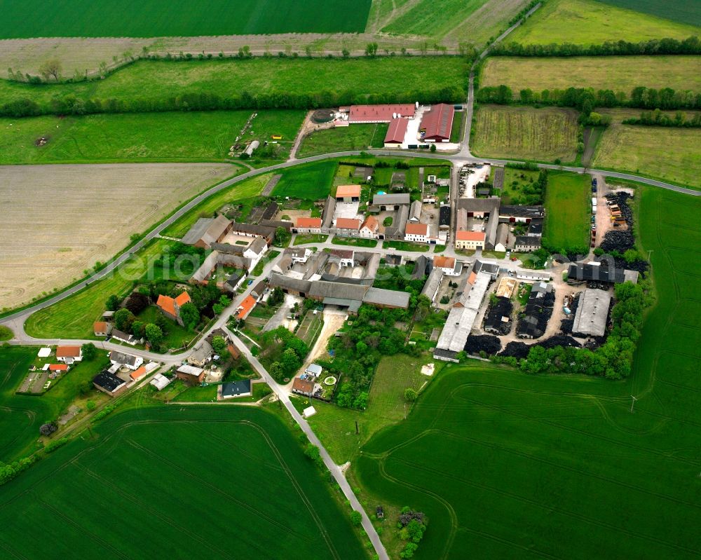 Moritz from above - Agricultural land and field boundaries surround the settlement area of the village in Moritz in the state Saxony-Anhalt, Germany