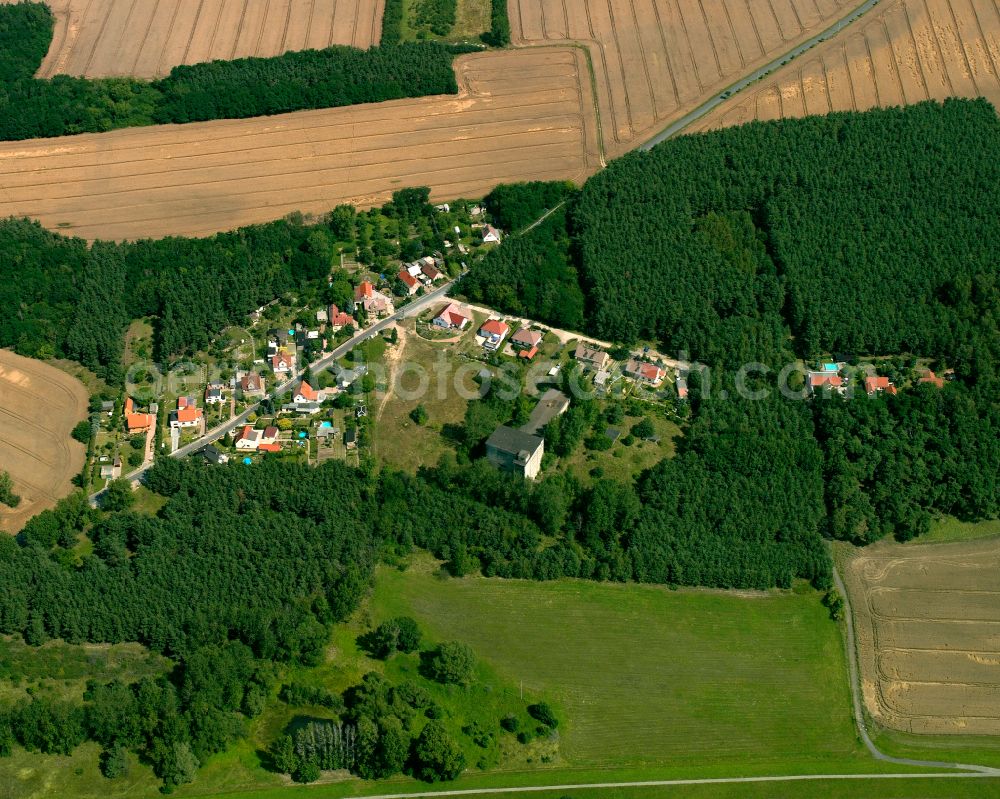 Moritz from above - Agricultural land and field boundaries surround the settlement area of the village in Moritz in the state Saxony, Germany