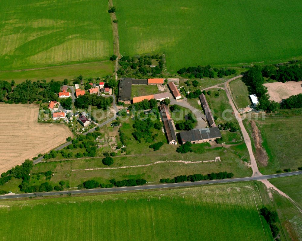 Aerial image Moritz - Agricultural land and field boundaries surround the settlement area of the village in Moritz in the state Saxony, Germany