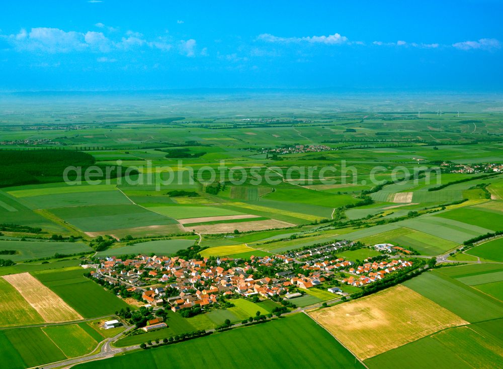 Morschheim from above - Agricultural land and field boundaries surround the settlement area of the village in Morschheim in the state Rhineland-Palatinate, Germany