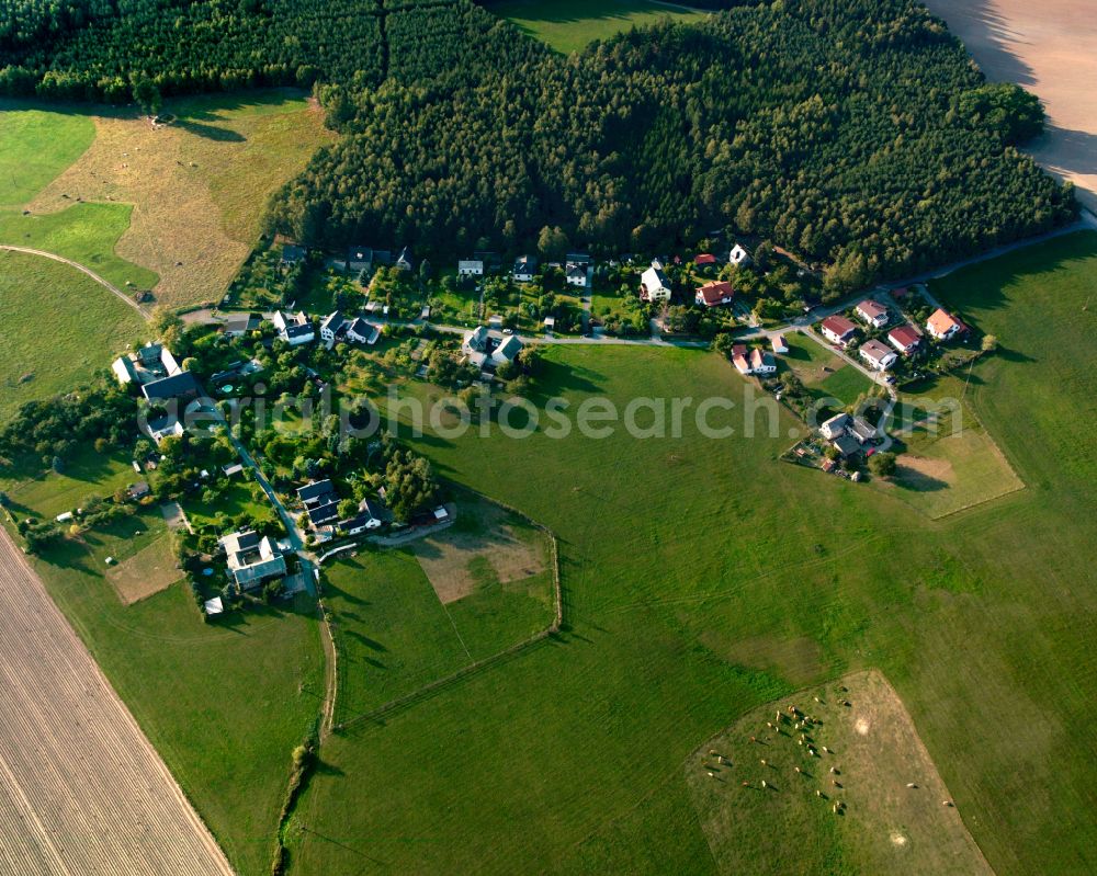 Moschwitz from the bird's eye view: Agricultural land and field boundaries surround the settlement area of the village in Moschwitz in the state Thuringia, Germany