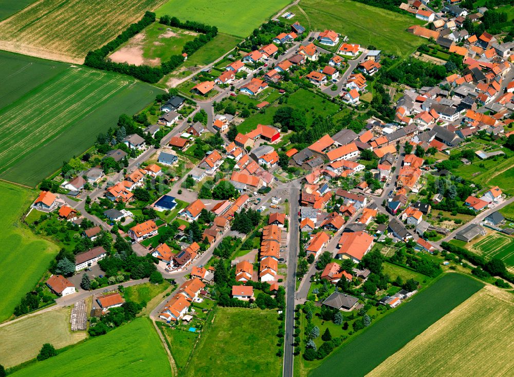 Mörsfeld from the bird's eye view: Agricultural land and field boundaries surround the settlement area of the village in Mörsfeld in the state Rhineland-Palatinate, Germany