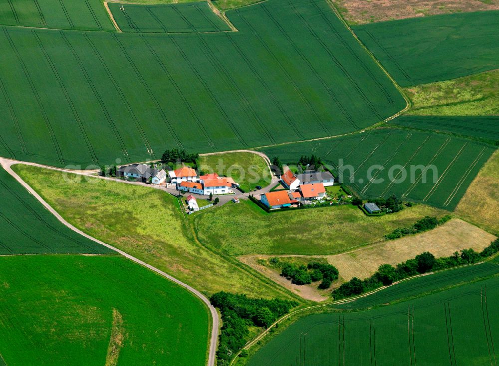 Mörsfeld from above - Agricultural land and field boundaries surround the settlement area of the village in Mörsfeld in the state Rhineland-Palatinate, Germany