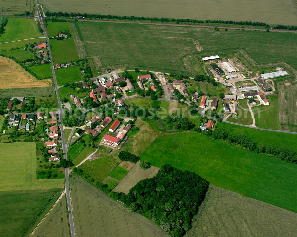 Aerial image Nasseböhla - Agricultural land and field boundaries surround the settlement area of the village in Nasseböhla in the state Saxony, Germany