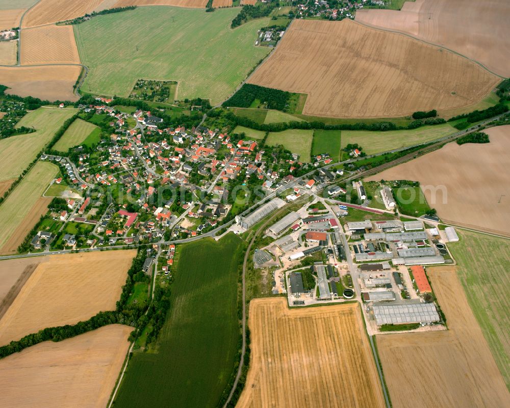 Nauendorf from the bird's eye view: Agricultural land and field boundaries surround the settlement area of the village in Nauendorf in the state Thuringia, Germany