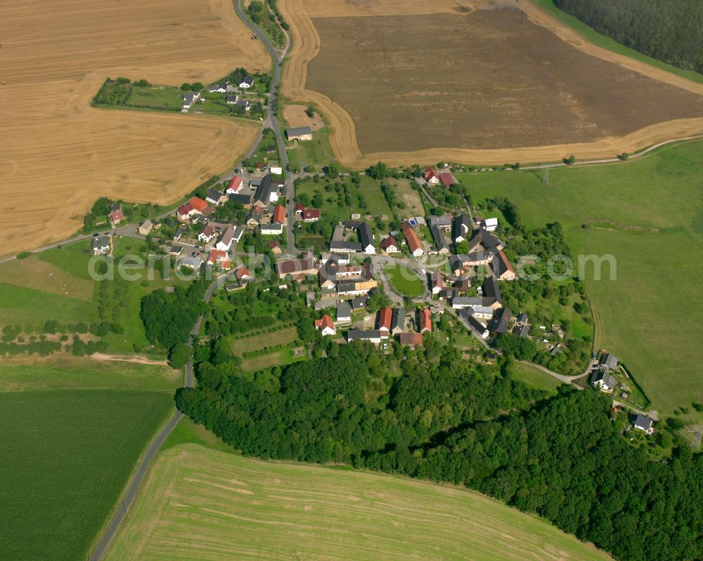 Naulitz from the bird's eye view: Agricultural land and field boundaries surround the settlement area of the village in Naulitz in the state Thuringia, Germany