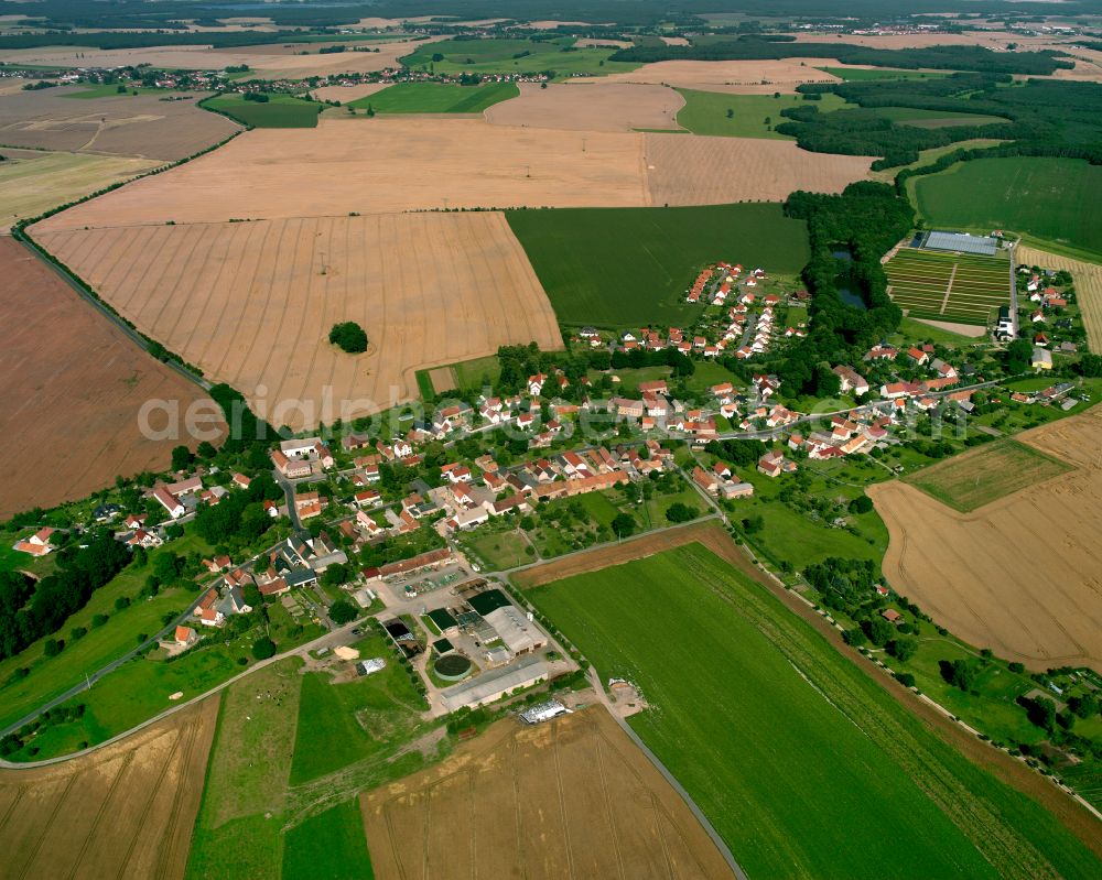 Aerial photograph Naunhof - Agricultural land and field boundaries surround the settlement area of the village in Naunhof in the state Saxony, Germany