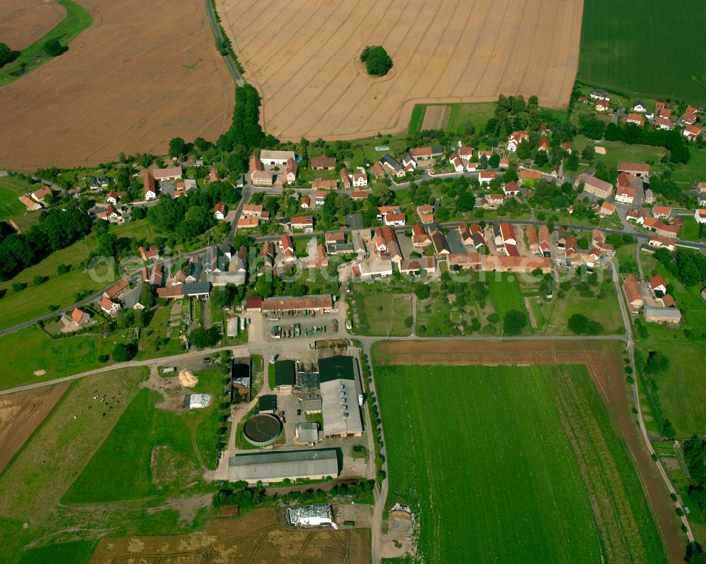 Naunhof from the bird's eye view: Agricultural land and field boundaries surround the settlement area of the village in Naunhof in the state Saxony, Germany